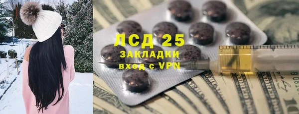 винт Алзамай